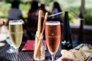 排球世界杯，颜妮的传奇与贡献排球世界杯颜妮