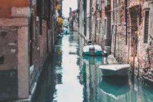 足球世界杯冠军球队，历史与文化交融的见证足球世界杯冠军球队